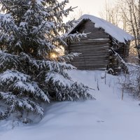 У леса на опушке... :: Сергей Ц