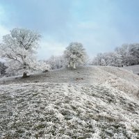 winter view :: Elena Wymann