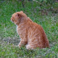 Ожидание :: Валерий Судачок
