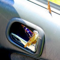 опять про бабочек...251 :: Александр Прокудин