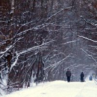 природа шепчет :: Олег Лукьянов природа шепчет :: Олег Лукьянов