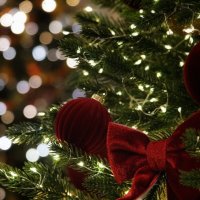 Москва :: александр