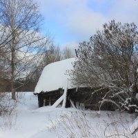 зимним днём :: Сергей Кочнев