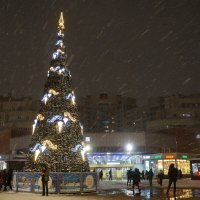 С наступающим Новым годом... :: zavitok *