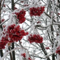 С наступающим! :: ирина 