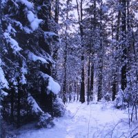 В зимнем лесу :: Людмила Смородинская