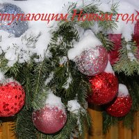 С наступающим 2026 годом! :: Татьяна Лютаева