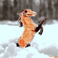 Ещё про символ года... :: Андрей Заломленков