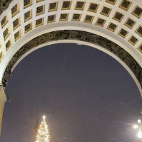 Главная ёлка Петербурга. :: Ольга 