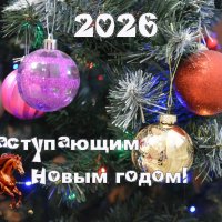 *** :: Надежда Куркина 