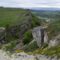 Природа Крыма :: Amazing Cosmea