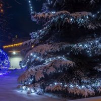 С Новым Годом! :: Алексей Трухин