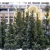 Новый Год, что за лесом... :: Александр Чеботарь