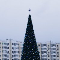 Елочка ))) :: Giant Tao /