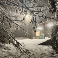 НОВОГОДНИЙ СОЧИ. :: Tata Wolf