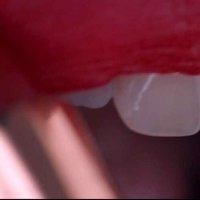 С Наступающим ...2026 ...!.. :: Игорь Пляскин