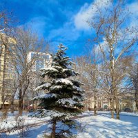 Зима :: Нина Бутко