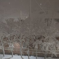 Зима ,зимушка пришла... :: tatyana 