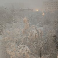 Новый год встречаем со снегом...Зима постаралась.... :: tatyana 