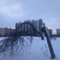 Рассвет :: Сапсан 