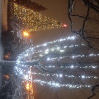 С Новым Годом! :: Сапсан 