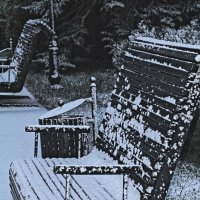 Скамейка в снегу. :: Giant Tao /