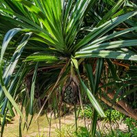 * :: Dmitry i Mary S