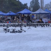 На ярмарке :: Юрий Гайворонскiий