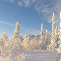 С Новым годом, друзья! :: Галина Нестратова