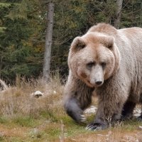 Не провожай меня! Не надо! :: Alexandеr P