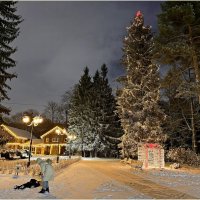 Ёлка Центрального парка. :: Валерия Комова