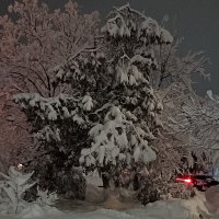 Сюрпризы матушки зимы ! :: tatyana 