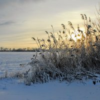 Утро. Сегодня. :: Владимир 