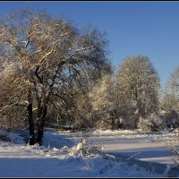 Красавица ЗИМА ! :: Aleksandr Gal