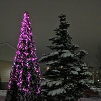 Новый Год пришёл! :: Светлана Новый Год пришёл! :: Светлана