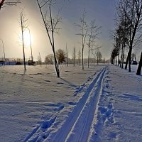 Лыжники долго не спят! :: Vladimir Semenchukov