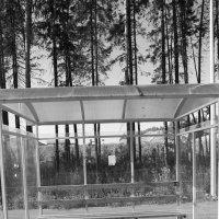 Фотография :: Денис Безногов Фотография :: Денис Безногов