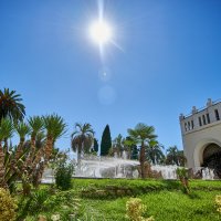 Фонтан Грифоны :: Александр Леонов