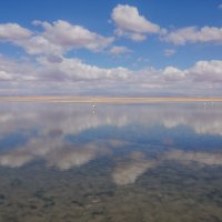 В краю солёных озёр... :: Владимир Жданов В краю солёных озёр... :: Владимир Жданов