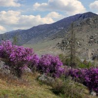 Начало мая :: елена беликова