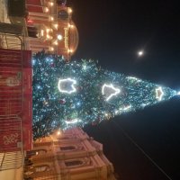 Ёлка :: Сапсан Ёлка :: Сапсан