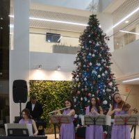 День энергетика + Новый год :: zavitok *