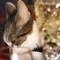 Новый год со всех сторон... :: ii_ik Иванов