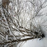 Вступаю в 2026-й :: Андрей Лукьянов Вступаю в 2026-й :: Андрей Лукьянов