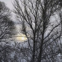 Солнце декабря :: Мария - Maria Солнце декабря :: Мария - Maria