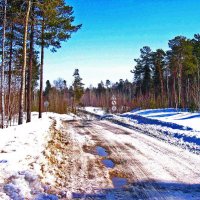 Дорога на Лянтор. Оттепель :: Владимир 