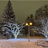 Новогодний сквер. :: Валерия Комова Новогодний сквер. :: Валерия Комова