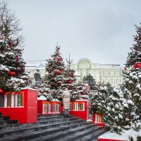 Ёлки и книги. :: Nyusha .