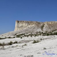 Природа Крыма :: Amazing Cosmea