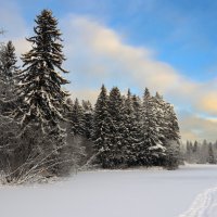 Вартемяги :: skijumper Иванов Вартемяги :: skijumper Иванов